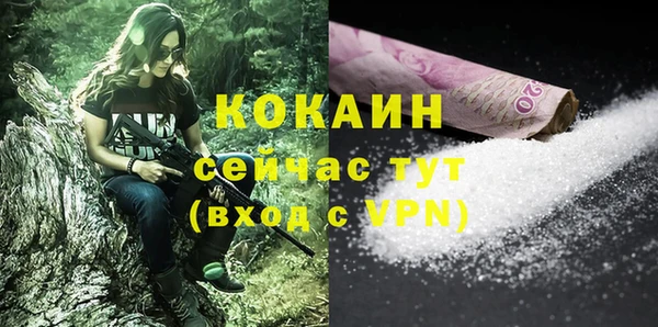 индика Алексеевка