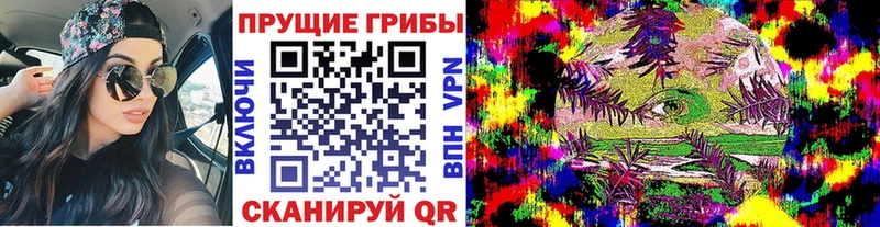 где найти наркотики  Похвистнево  Галлюциногенные грибы мицелий 